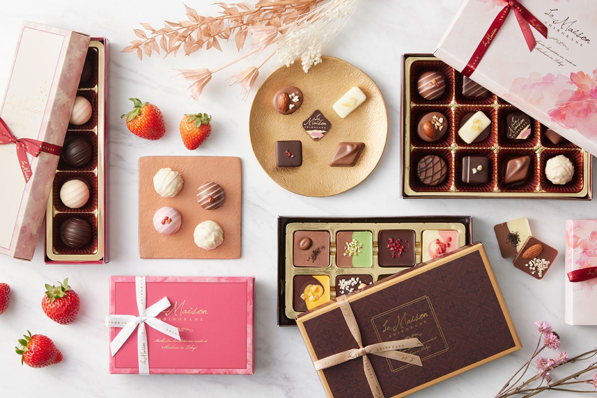 チョコレートで作るさまざまな作品 春の贅沢なひと時。VANILLABEANSの生チョコレートサンド