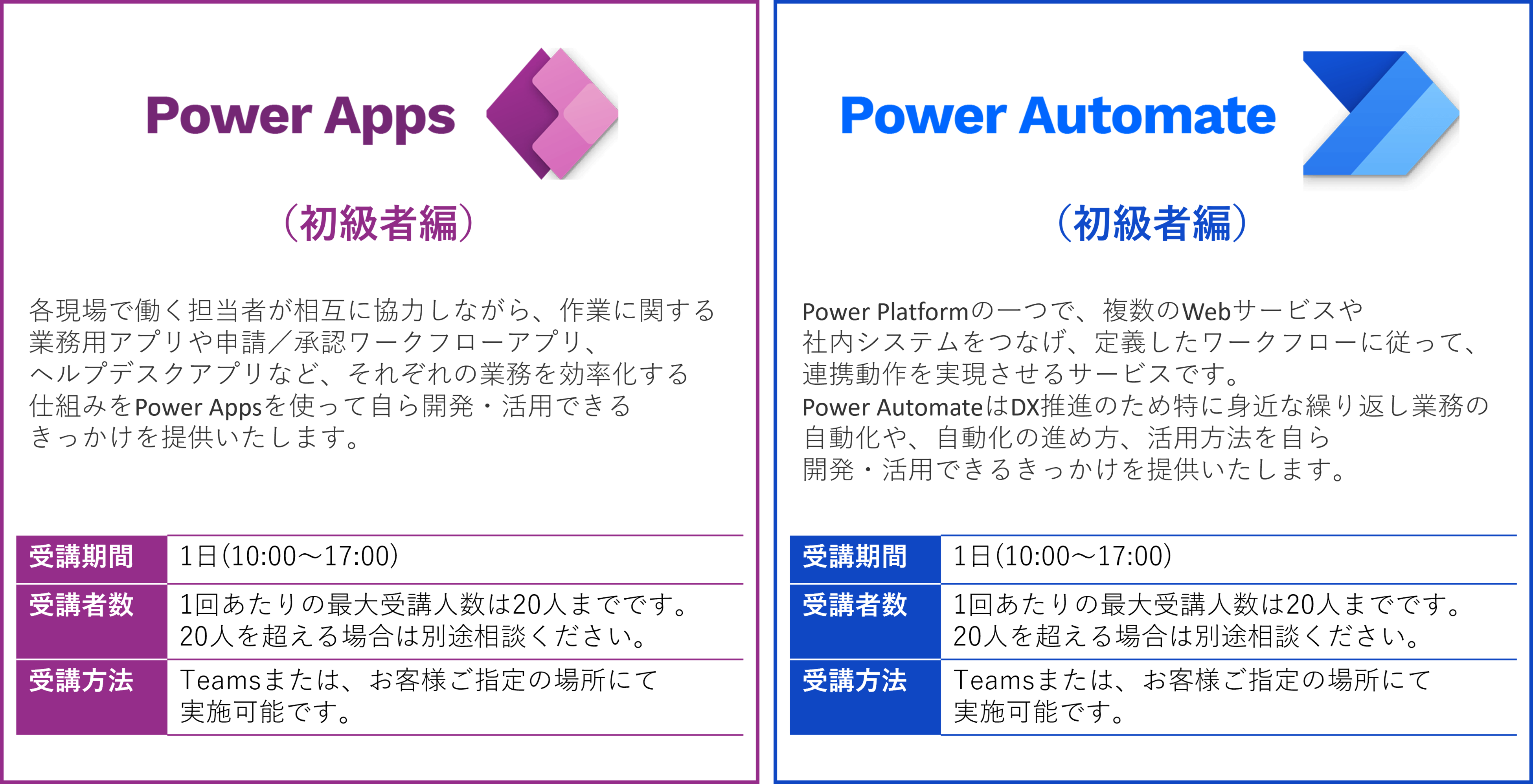 「DX人材育成プログラム  Power Apps・Power Automte 教育」のサービス内容