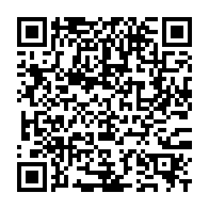 オンデマンドバス予報サービスページへ