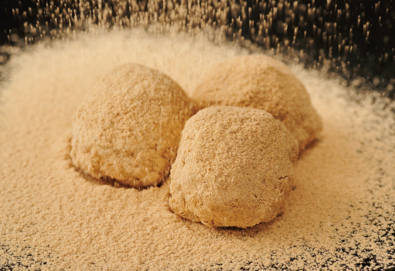 「資さんストア」・一部催事販売限定！きな粉ぼた餅