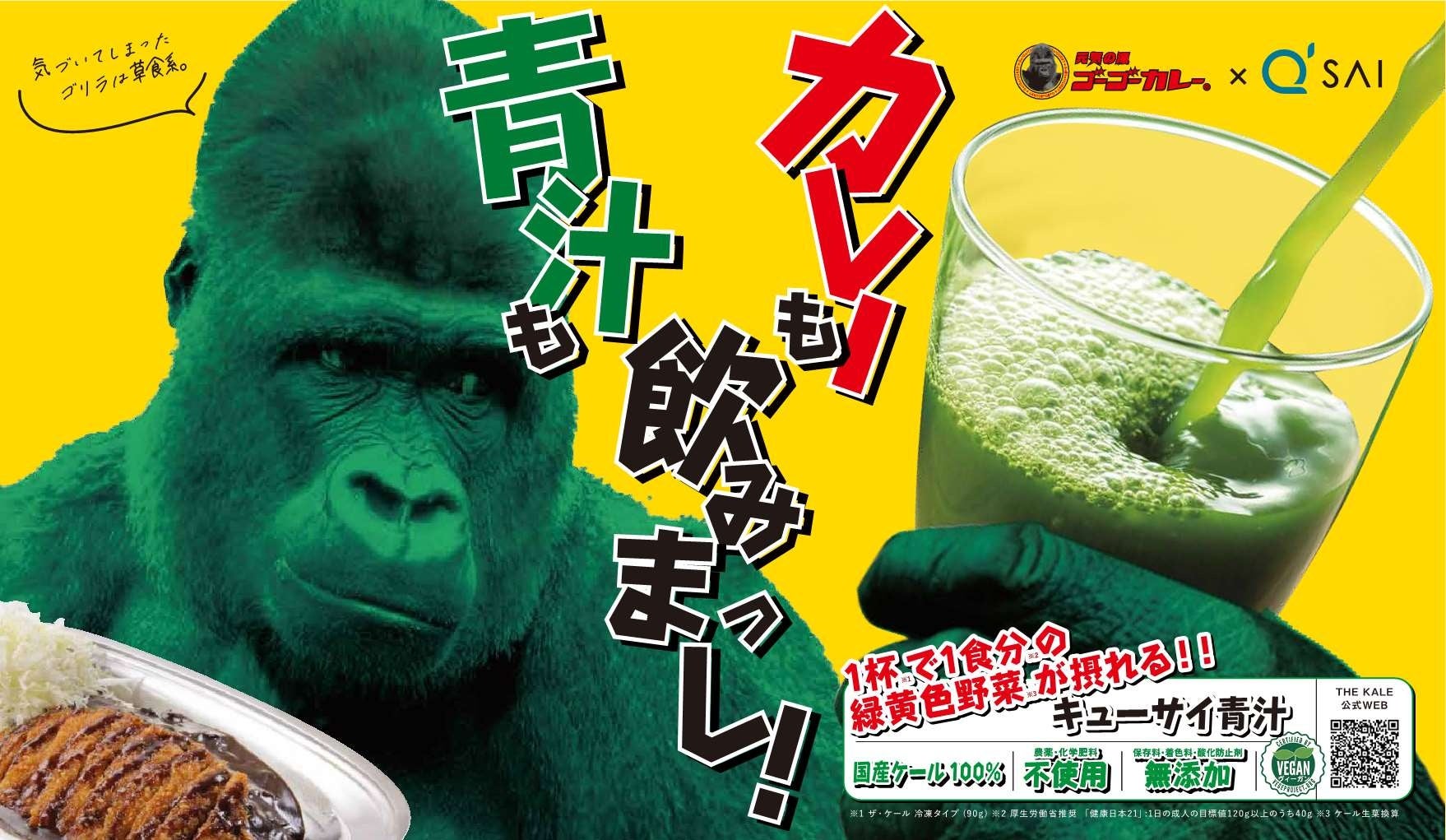 カレーの国のコバ~ル [DVD] 71KXOYijpjL._AC_SY200_QL15_.jpg