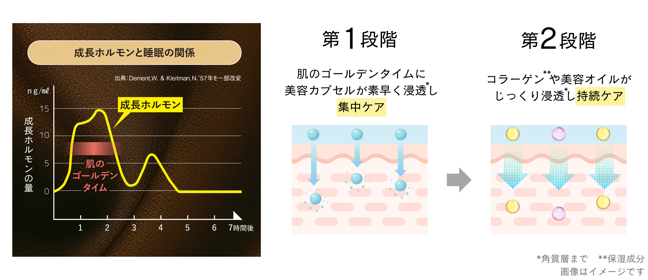 選ばれ続けて 10 年。待望のリニューアルで新・贅沢ナイトケアへ進化