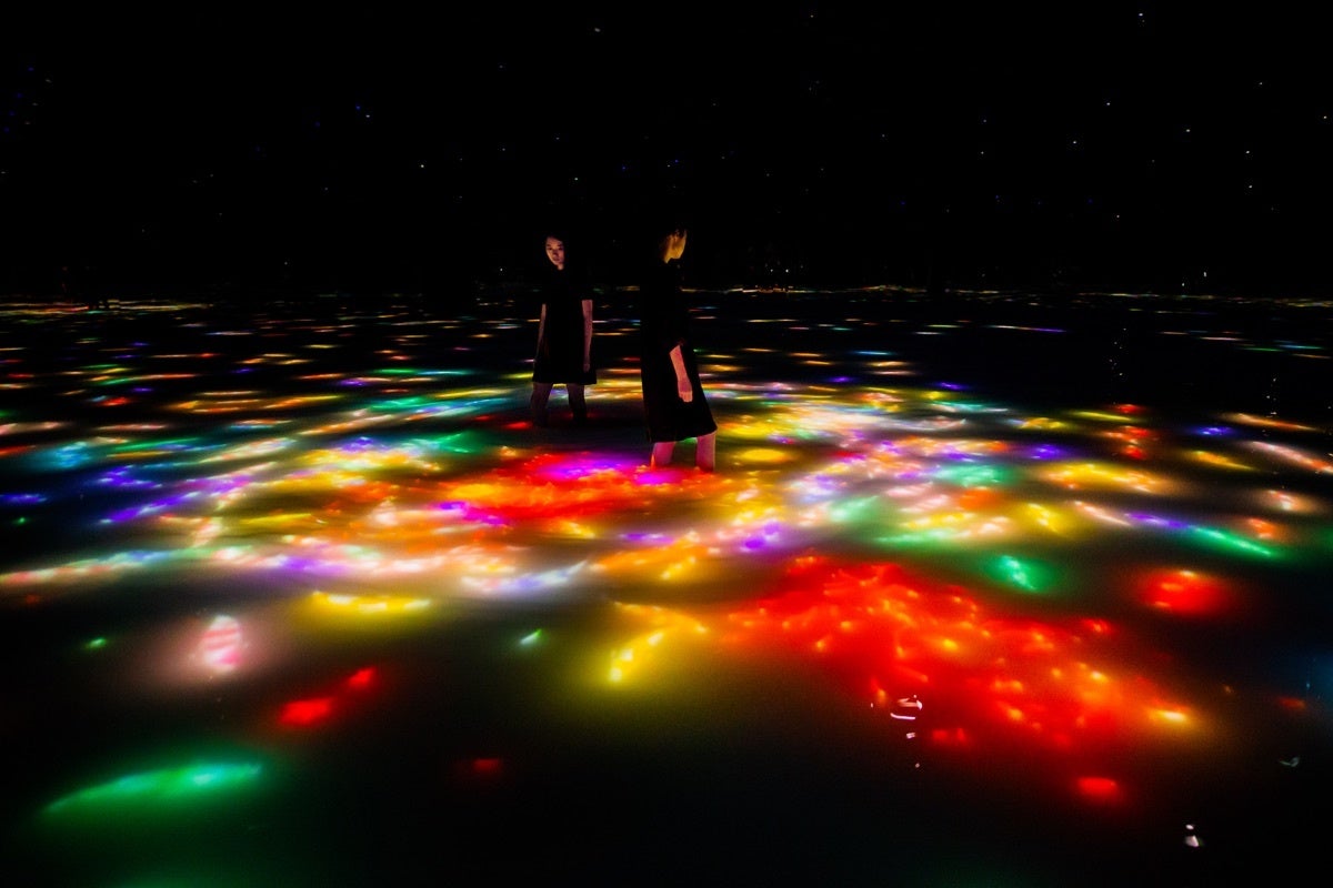 チームラボ《人と共に踊る鯉によって描かれる水面のドローイング》©チームラボ