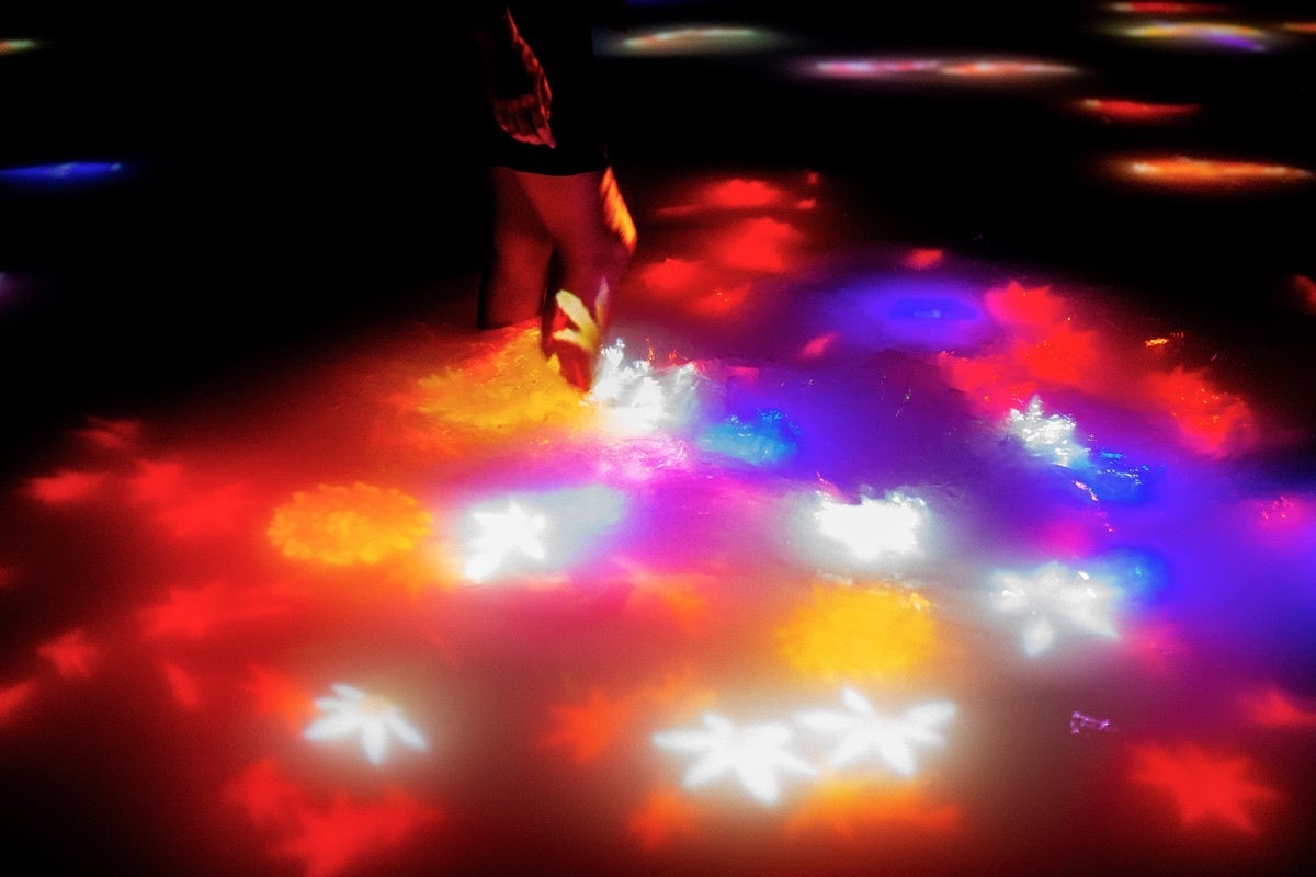 チームラボ《人と共に踊る鯉によって描かれる水面のドローイング》©チームラボ