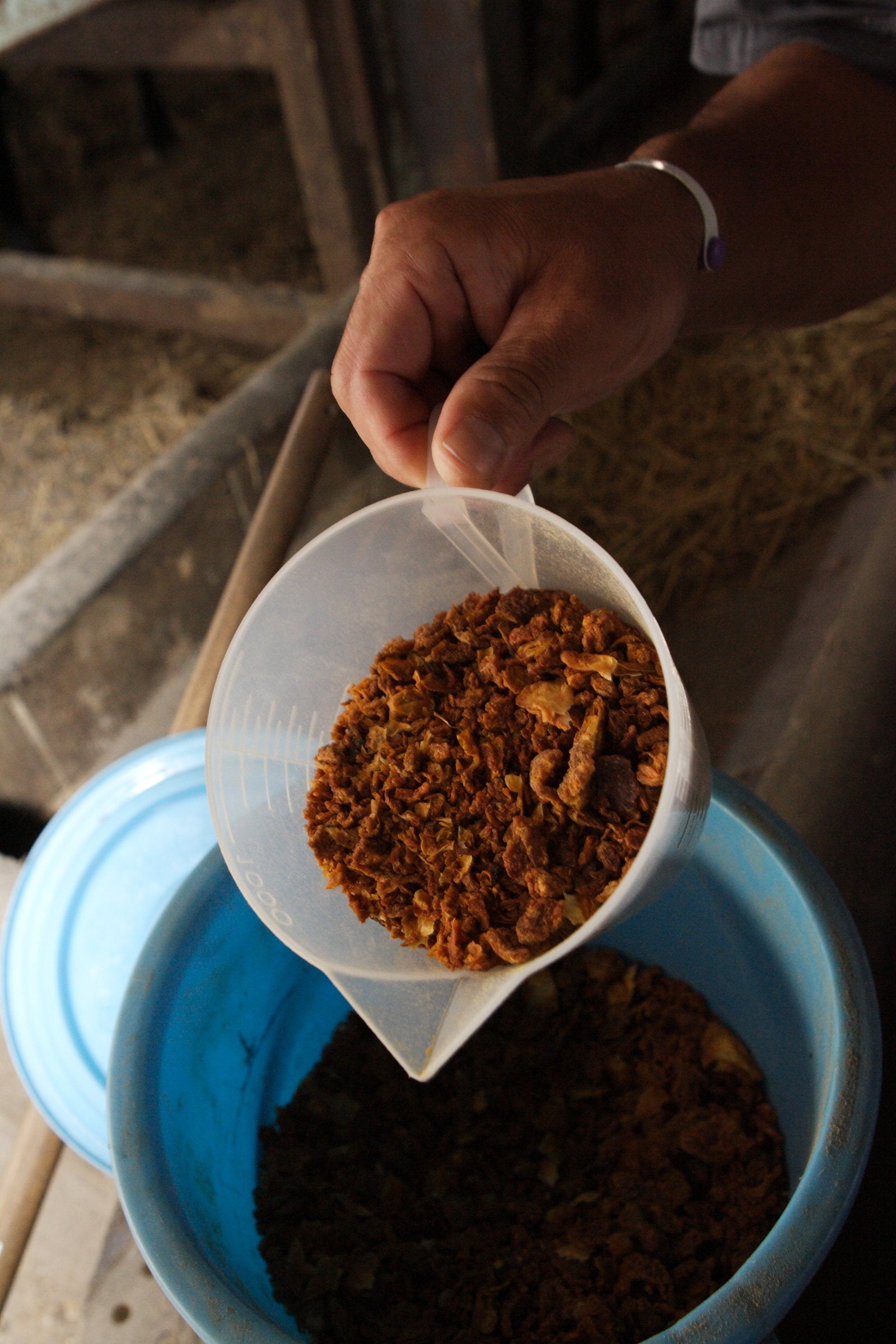 みかんフレーク