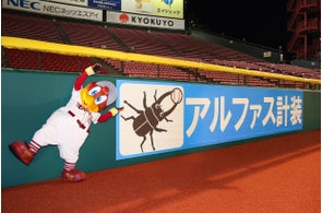 楽天イーグルスの多様なイベント戦略:100万円企画から著名人始球式、地域連携まで