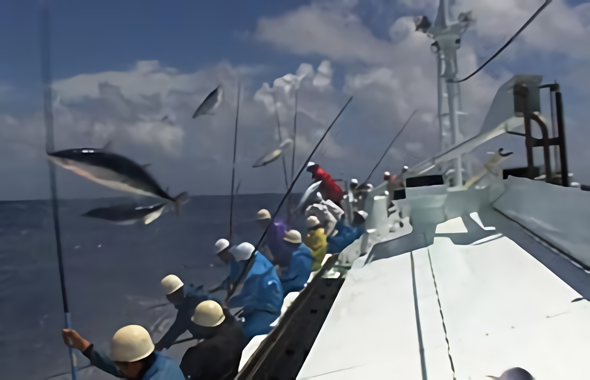 「第五 清龍丸」かつお一本釣り（提供：浅野水産）