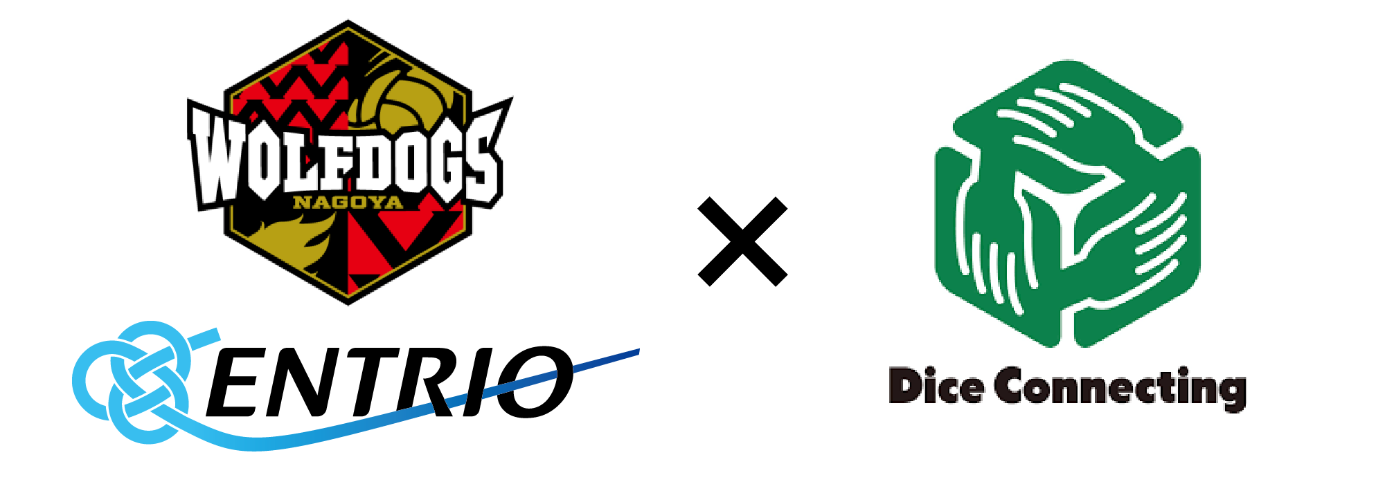 名古屋ウルフドックス（豊田合成）ゲームパンツ 豊田合成 トレフェルサ 名古屋ウルフドックス ゲームパンツ