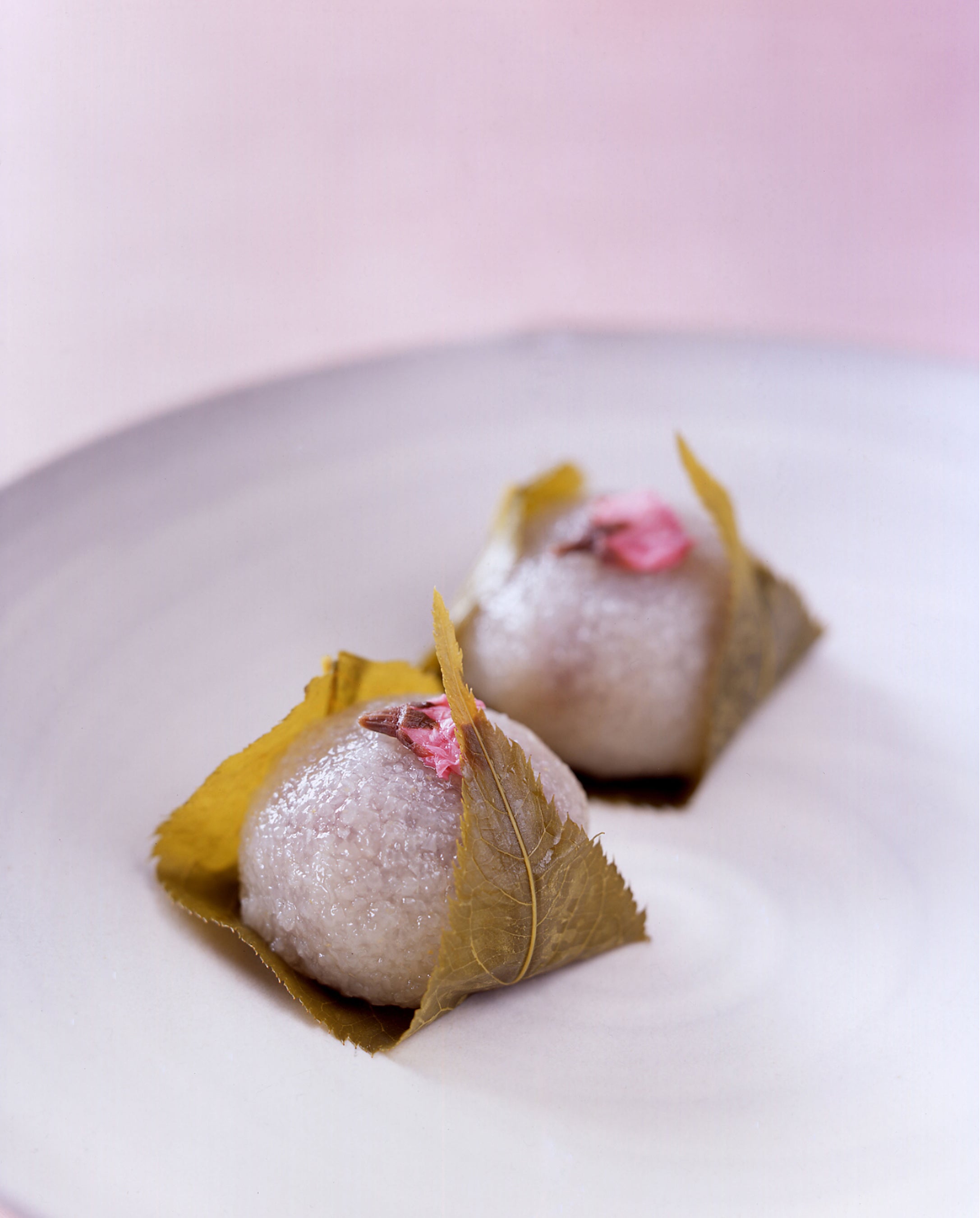 宗家 源 吉兆庵「桜餅」