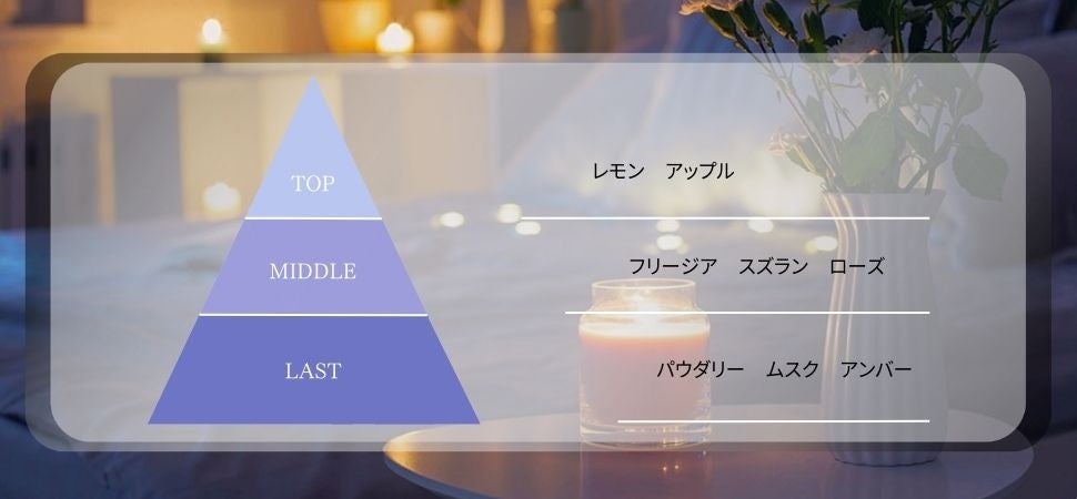 新登場】夜仕込みの贅沢ケア。「