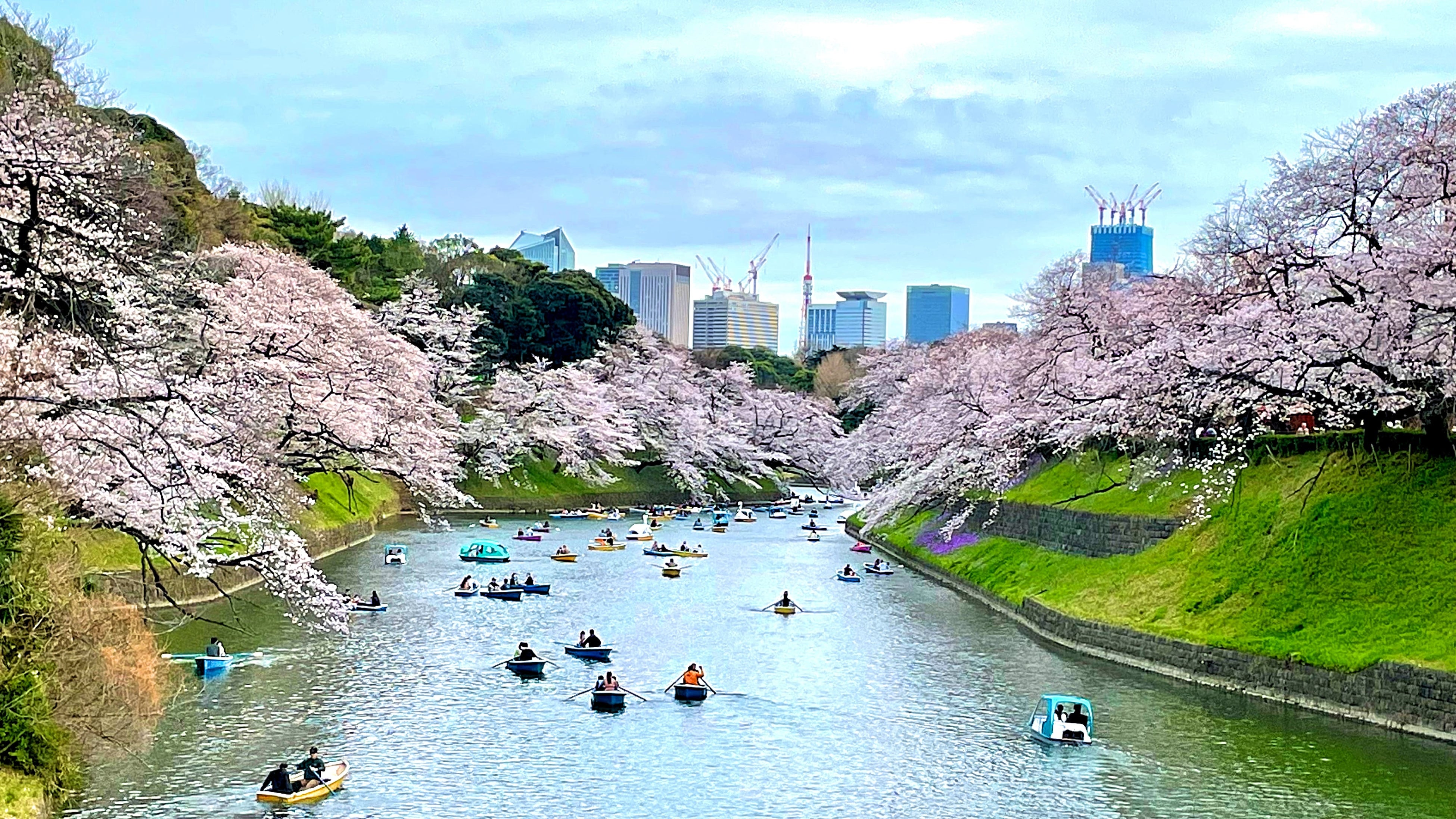 写真：2022年3月27日千鳥ヶ淵