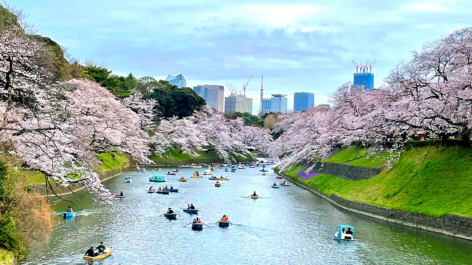 22年花見シーズン3月27日 さくらの日 コロナ前と比較した全国お花見 スポットの人流の回復度合いを調査 東京井の頭公園周辺はコロナ前と比べて まで回復 クロスロケーションズのプレスリリース 22年花見シーズン3月27日 さくらの日 コロナ前と比較した全国お花見 スポットの人流の回復度合いを調査 東京井の頭公園周辺はコロナ前と比べて まで回復 クロスロケーションズのプレスリリース