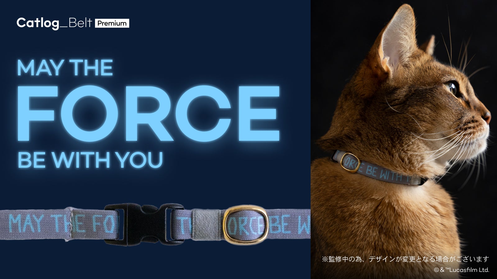 Catlog キャトログ に Star Wars デザインのベルトが新登場 スター ウォーズの日 である5月4日より数量限定で予約販売を開始 Rabo Inc のプレスリリース