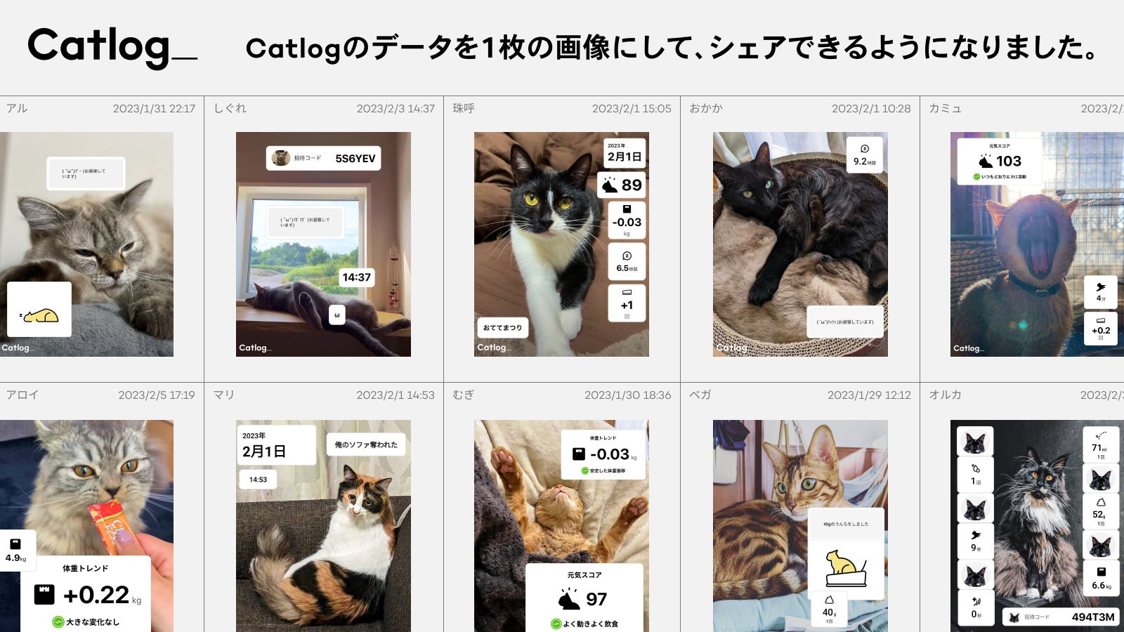 黒猫様 リクエスト 4点 まとめ商品 【公式通販】 黒猫様 リクエスト 4点 まとめ商品 【公式通販】