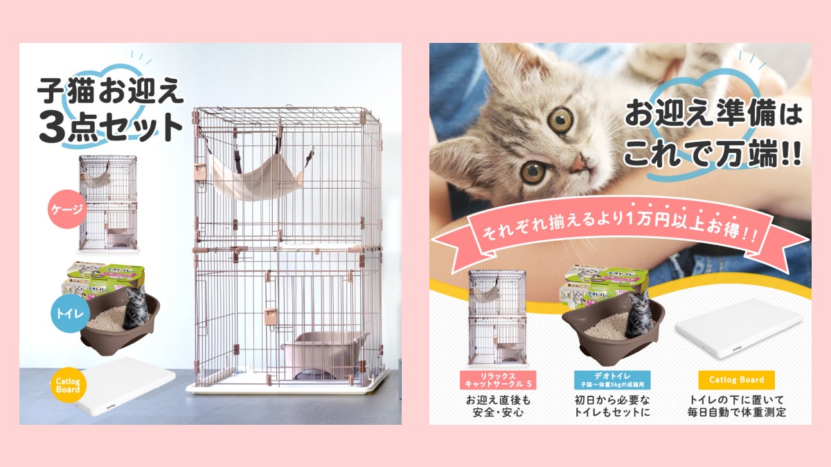 2/22は猫の日 (=^・^=)子猫様お迎えのピークシーズンももう目前