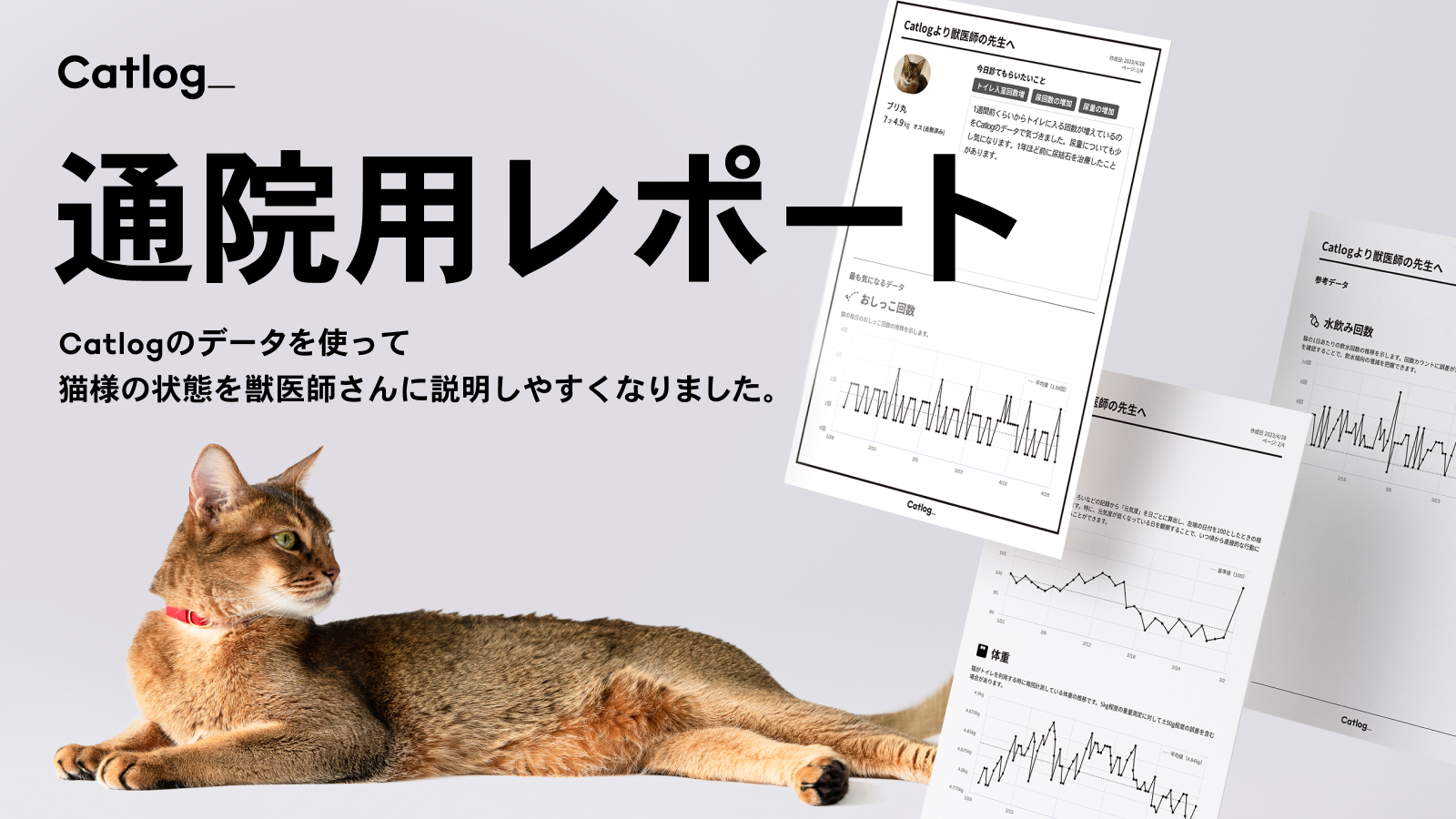 Catlog®︎で動物病院への通院時用のレポート作成機能が新登場。猫様の