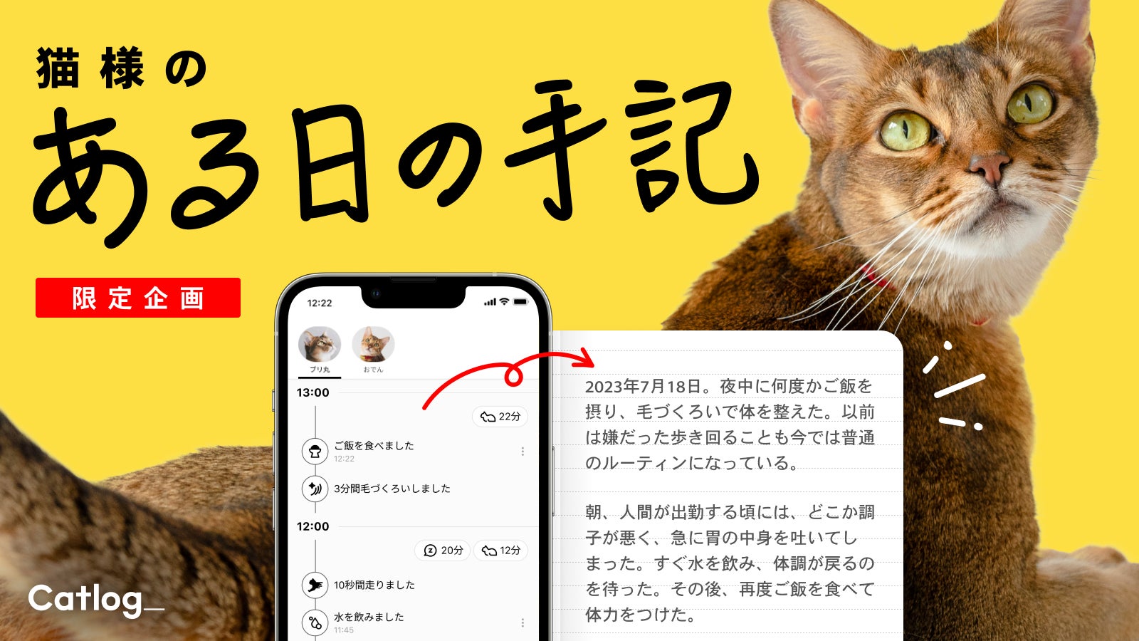 ねこ様 リクエスト 2点 まとめ商品 【公式通販】 ねこ様 リクエスト 2点 まとめ商品 【公式通販】