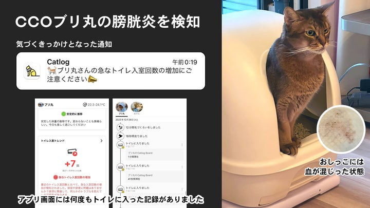 猫様の排泄トラブルや異常な体重変化をAIが検知する『Catlog Board』の 猫様の排泄トラブルや異常な体重変化をAIが検知する『Catlog Board』の