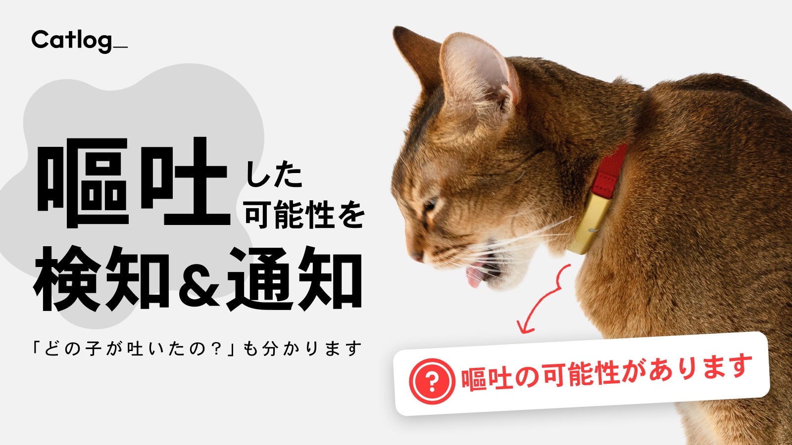 次世代のスマート猫首輪Catlog®(キャトログ)、猫様の「嘔吐」の可能 次世代のスマート猫首輪Catlog®(キャトログ)、猫様の「嘔吐」の可能