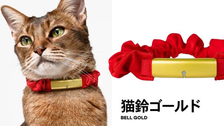次世代のスマート猫首輪Catlog®(キャトログ)の第2世代が新登場!電池 次世代のスマート猫首輪Catlog®(キャトログ)の第2世代が新登場!電池