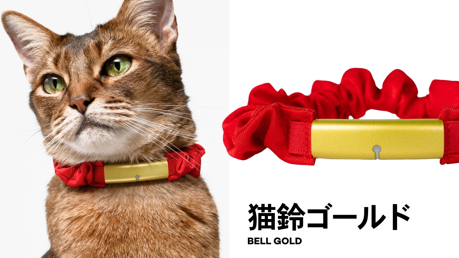 Catlog board 2 + Catlog2 首輪 次世代のスマート猫首輪Catlog®(キャトログ)の第2世代が新登場