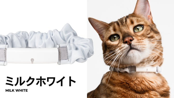 次世代のスマート猫首輪Catlog®(キャトログ)の第2世代が新登場!電池 次世代のスマート猫首輪Catlog®(キャトログ)の第2世代が新登場!電池
