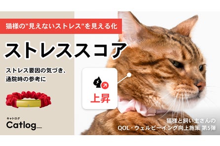 RABO, Inc.のプレスリリース|PR TIMES RABO, Inc.のプレスリリース|PR TIMES