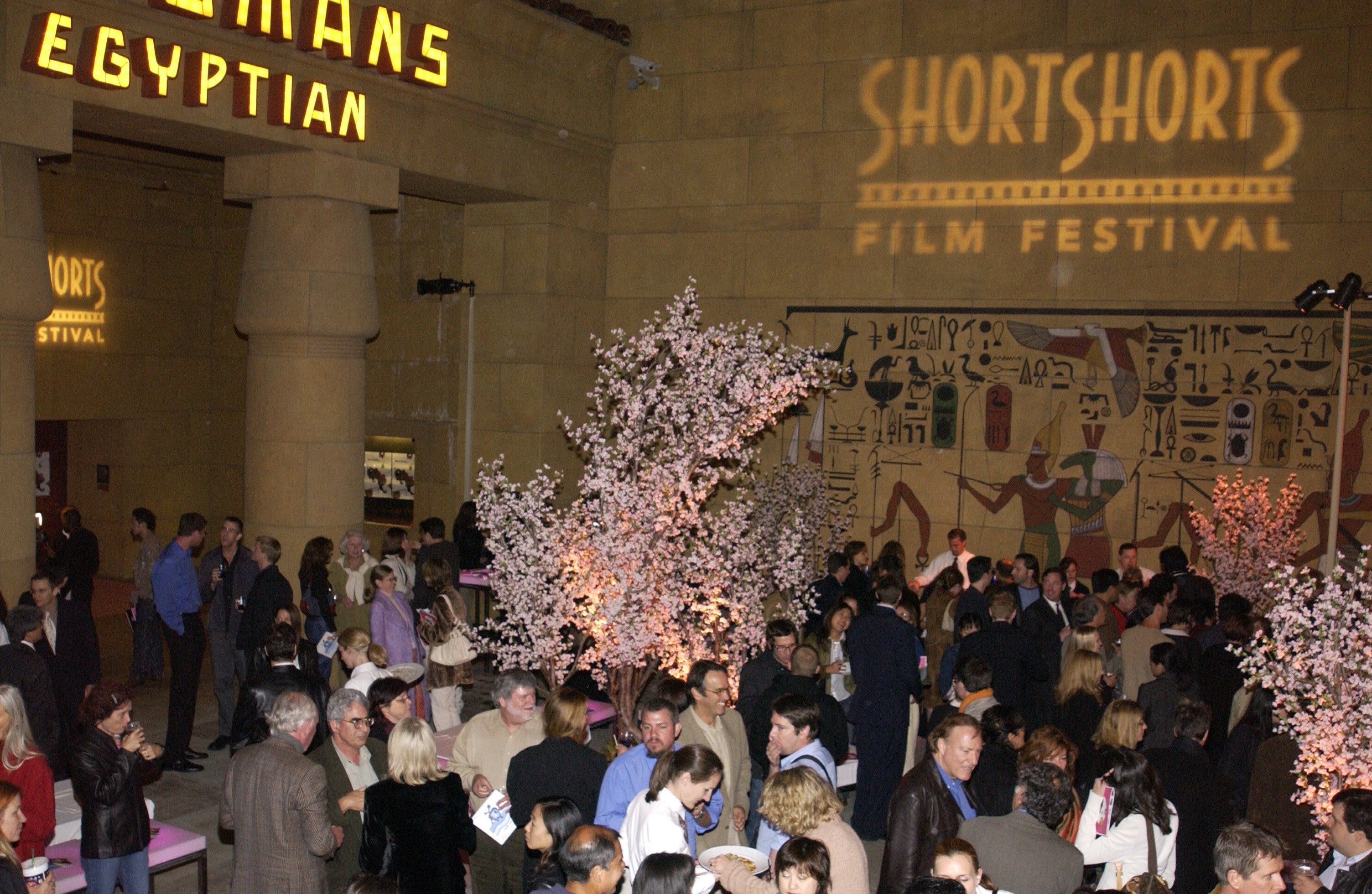 (c)Jean-Paul Aussendard, Wireimage