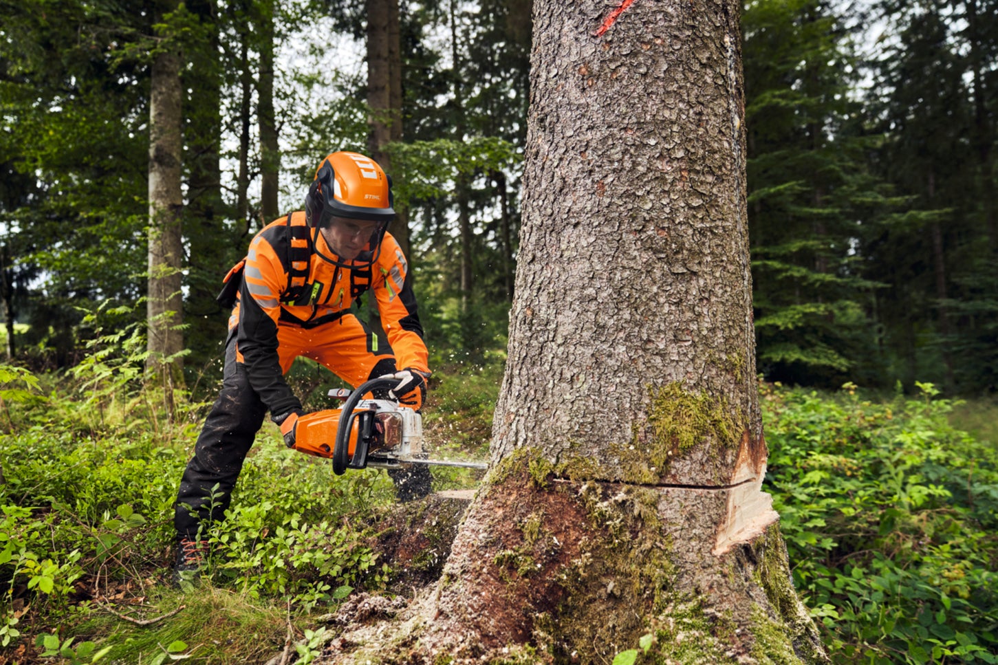 林業プロ待望の最新チェンソー「STIHL MS 400 C-M」遂に、日本上陸 林業プロ待望の最新チェンソー「STIHL MS 400 C-M」遂に、日本上陸