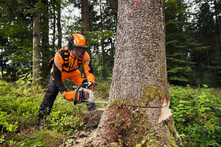 林業プロ待望の最新チェンソー「STIHL MS 400 C-M」遂に、日本上陸 林業プロ待望の最新チェンソー「STIHL MS 400 C-M」遂に、日本上陸