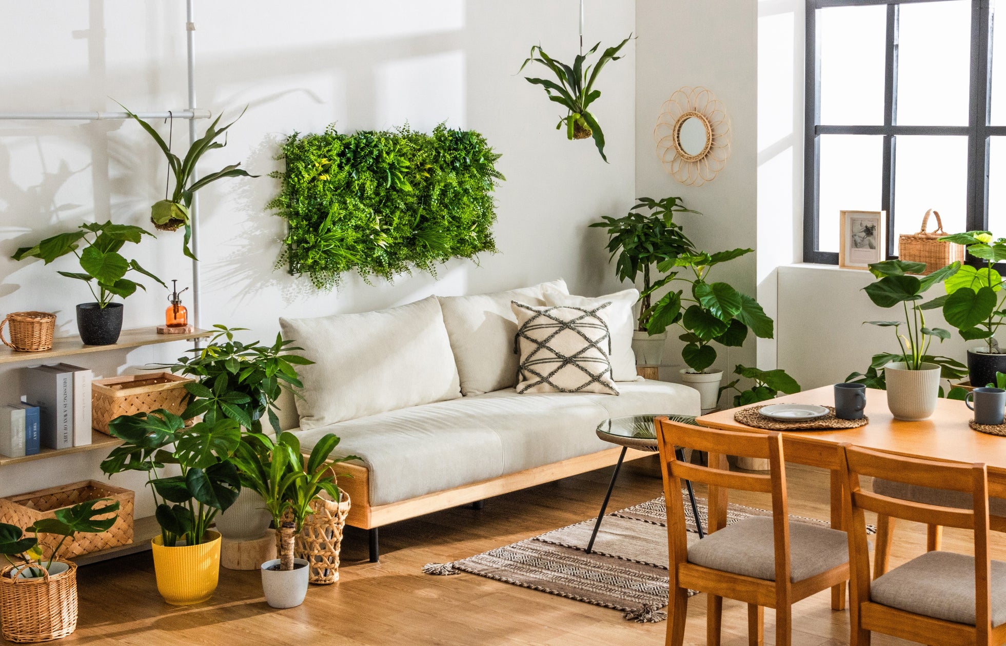 観葉植物のEコマース販売を今秋よりスタート