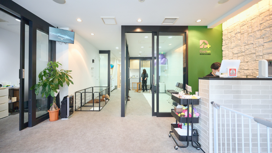 アルダ社の運営するペット向けのメディカルサロン：Dyplus西麻布 （東京都港区西麻布４丁目２２−７西麻布グランディアビル 1F）