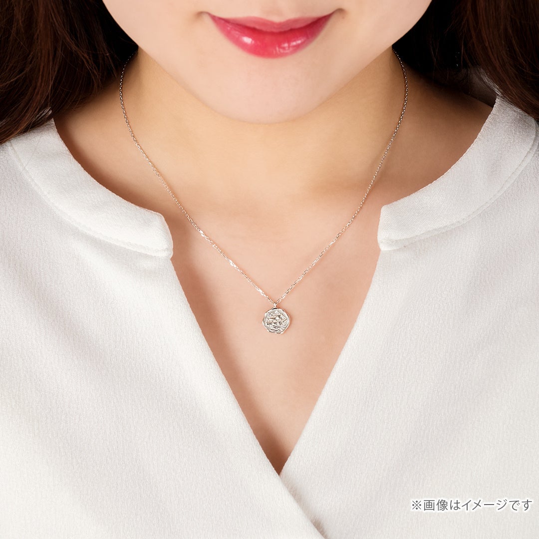 着用イメージ
