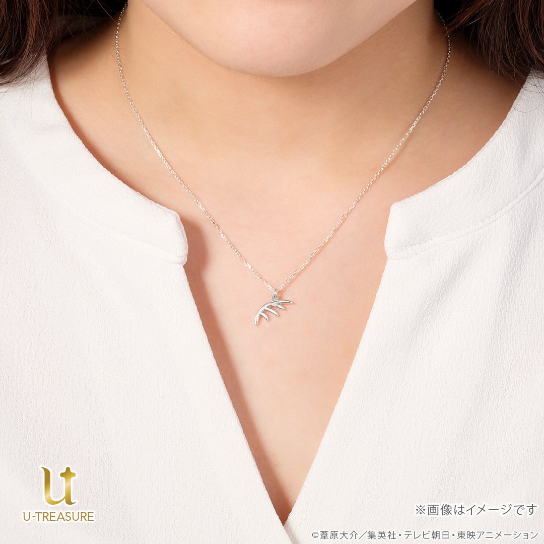 はやぶさ座 シルバー 着用イメージ