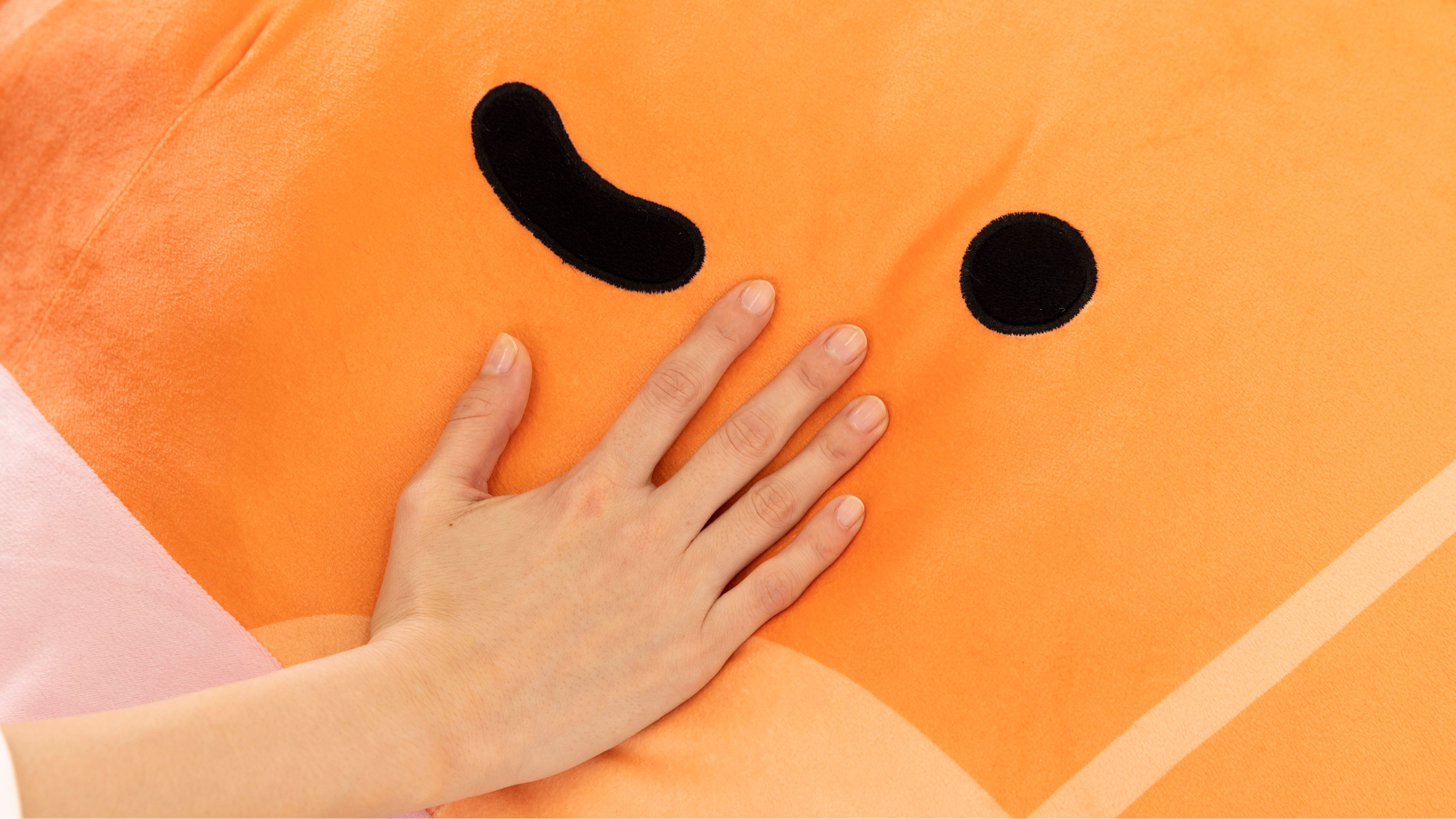 過去最大級！最大全長約200㎝ 「サンリオキャラクターズ 夢の超