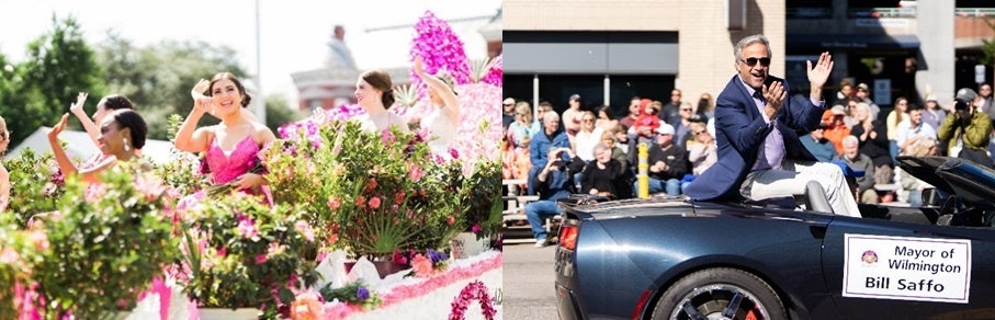 写真提供は@ncazaleafestival