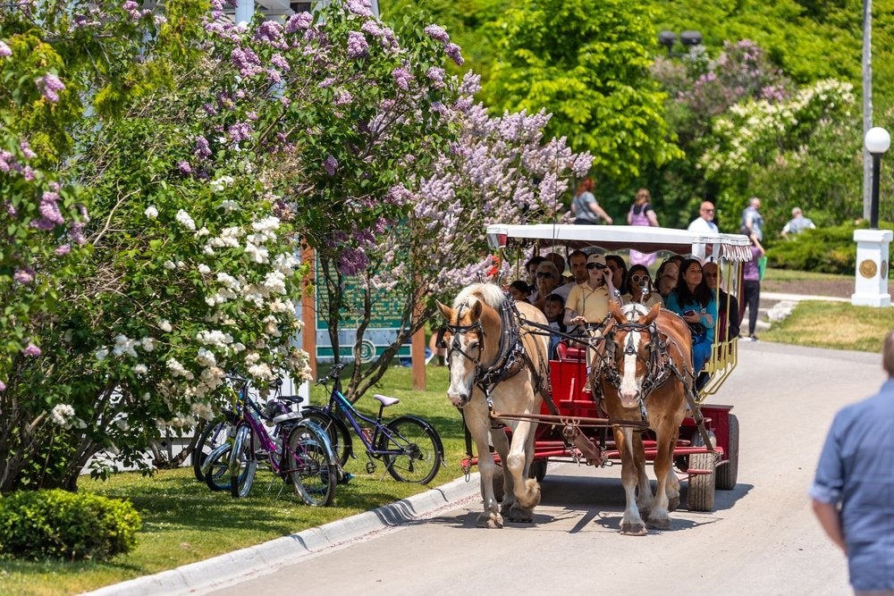 観光客は馬車からライラック観賞ができる。（写真提供マッキナック観光局）