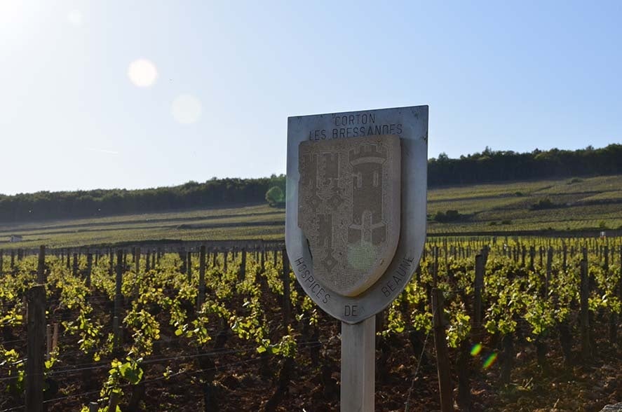 オスピスドボーヌ