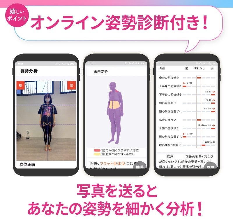 姿勢カルテ抜粋画像