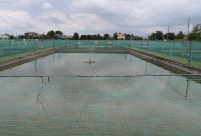 ホンモロコの養殖場