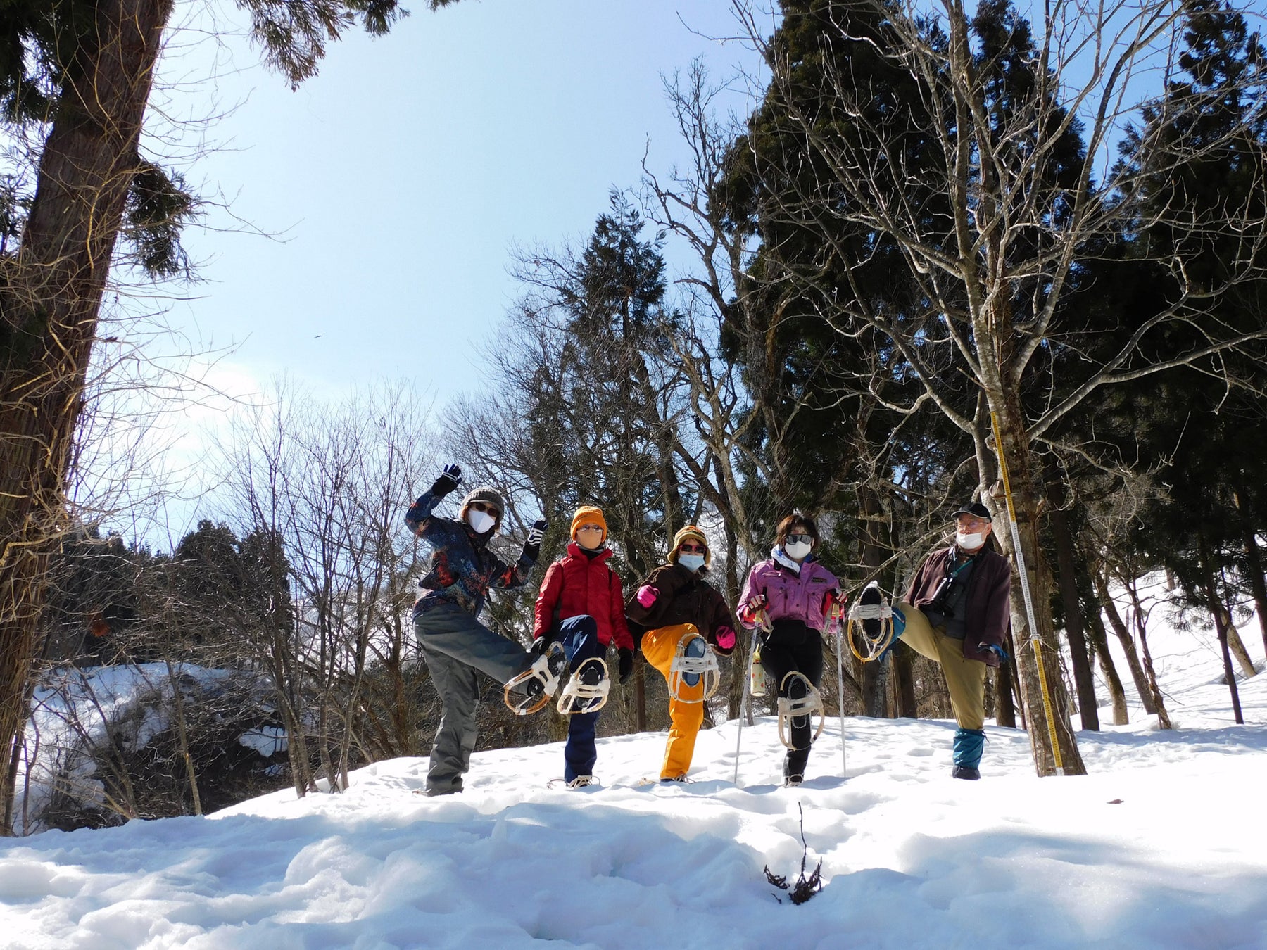 提供:石川県白山自然保護センター