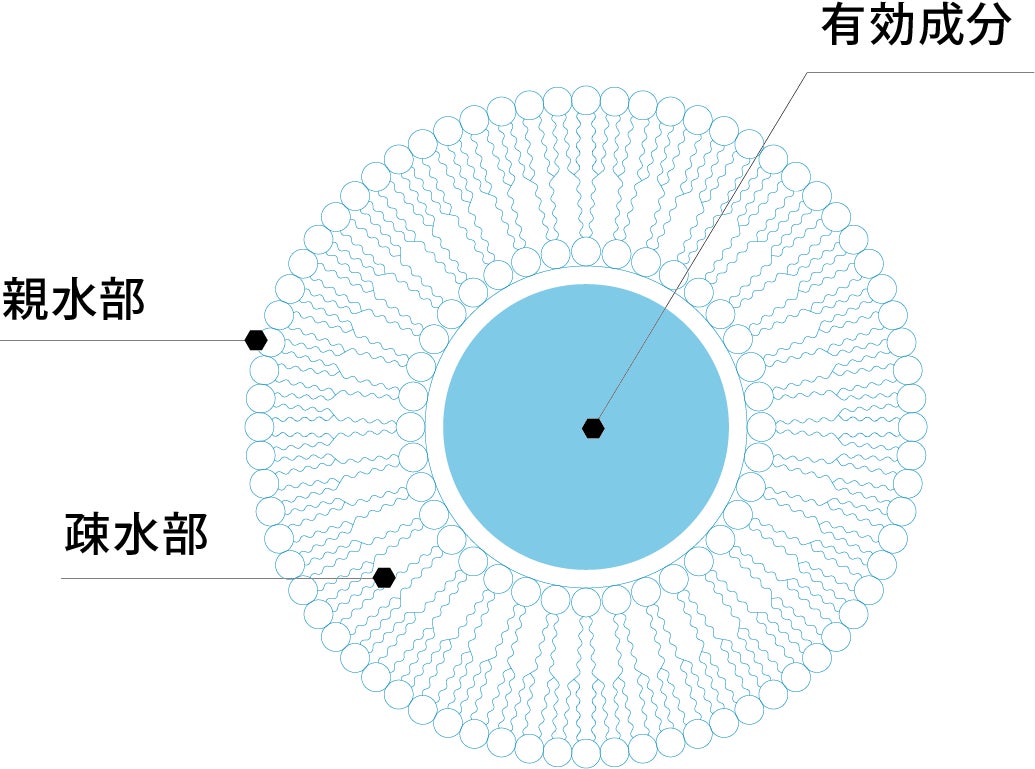 リポソームとは
