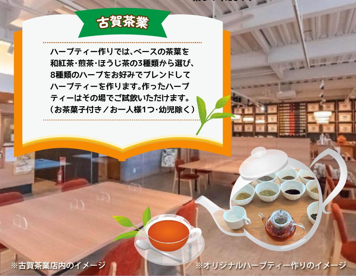 「北原早生」発祥の地で山川みかん狩りとハーブティー作り JR九州が博多駅発着の日帰りツアーを発売中