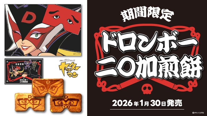 初回限定版とほかみプラズマ ロゴストロン neten おまけ ロゴストロン 初回限定版とほかみプラズマ ロゴストロン neten おまけ ロゴストロン