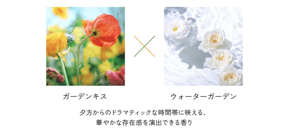 マインドセンス(出典: PR TIMES)