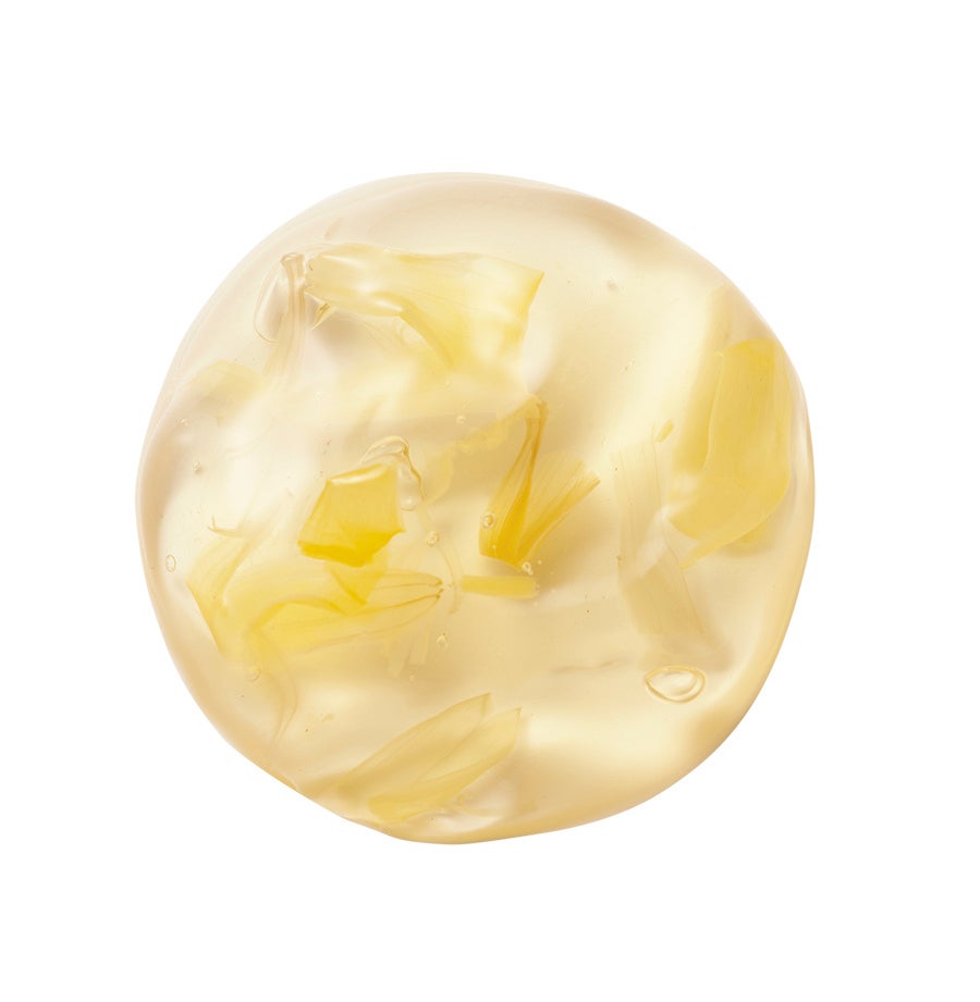  トウキンセンカ