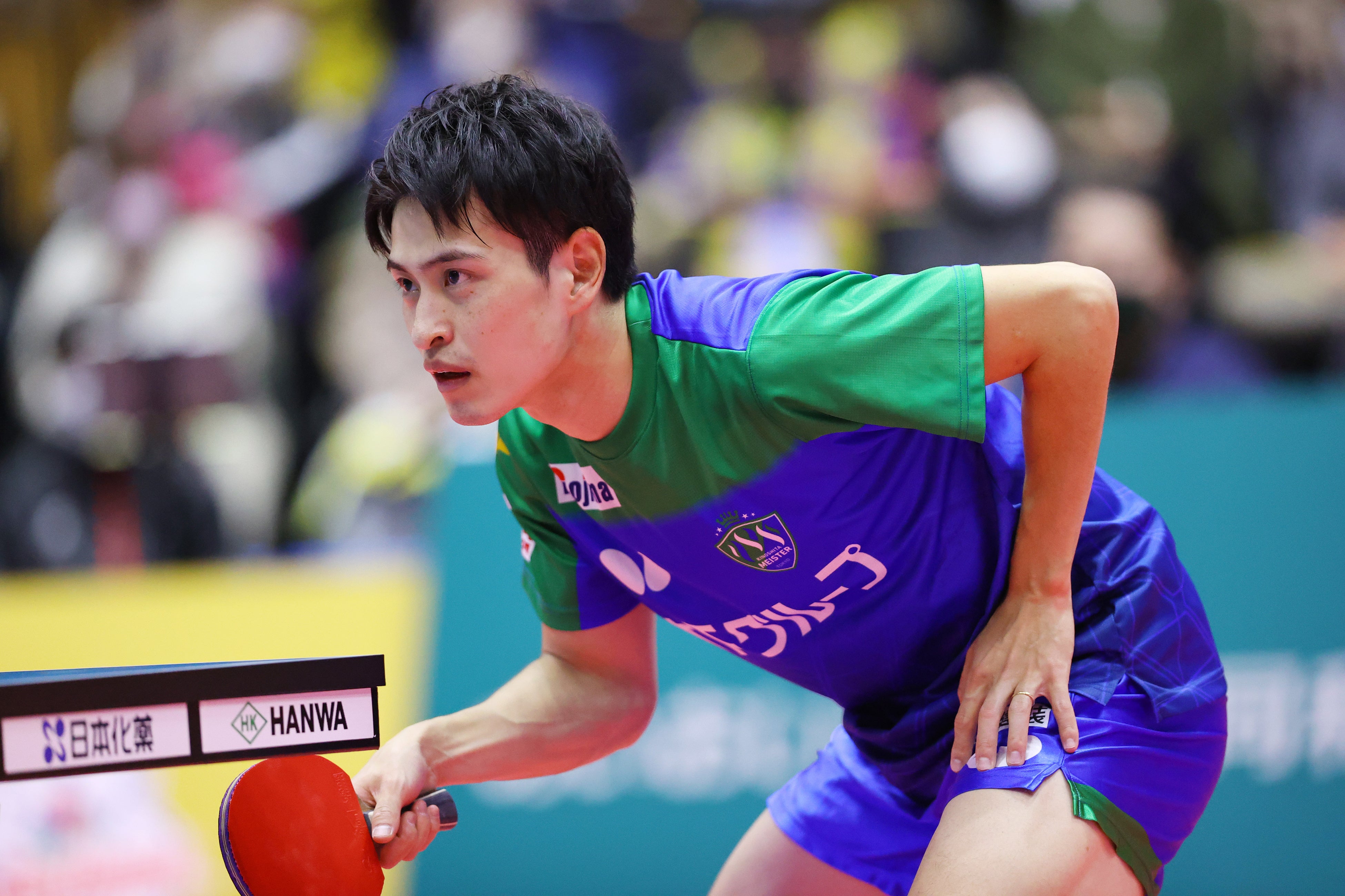 大島祐哉（木下マイスター東京）