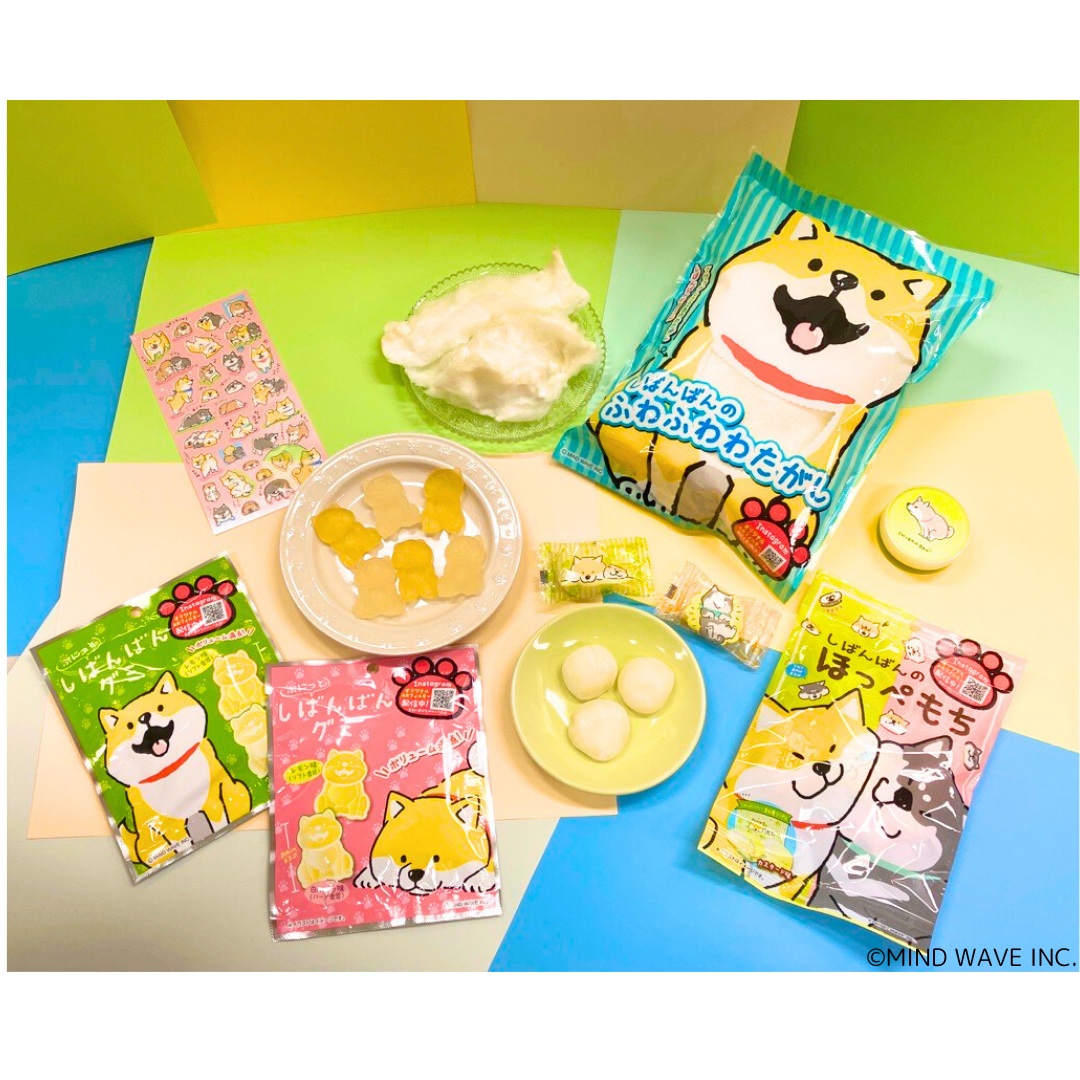 犬好きの方、癒されたい方へ。しばんばんのぷにっと感やふわふわ感を