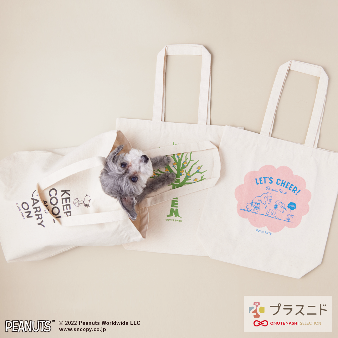 不幸なワンコニャンコが少しでも減ることを祈っています。