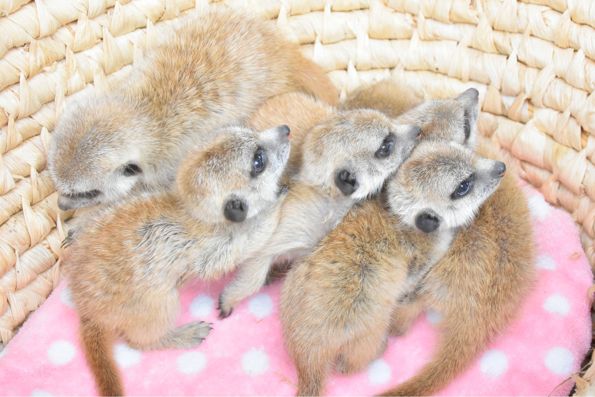 穩健成長,充滿活力